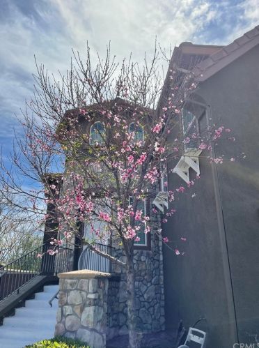 7895 Garden Park St, Chino CA  91708-7659 exterior