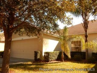 9073 Southern Charm Cir, Brooksville, FL 34613-6852