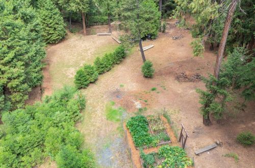 16199 Pioneer Creek Rd, Pioneer CA  95666-9415 exterior