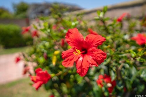 4311 180th St, Torrance CA  90504-3610 exterior