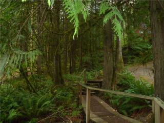 7027 Olympus Way, Glacier, WA 98244-9570