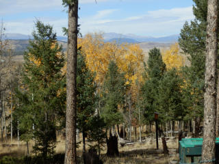 1733 Bellows Rd, Hartsel, CO 80449-8565