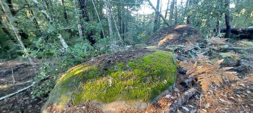 43400 Iversen Rd, The Sea Ranch CA  95445-7582 exterior