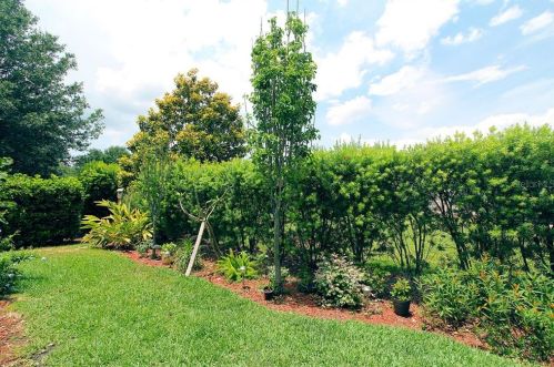 10208 Dory Dr, Oxford FL  34484-3741 exterior