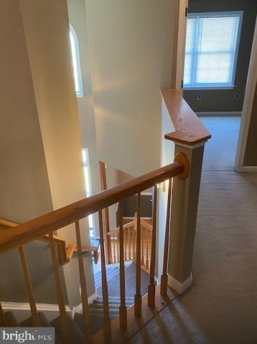 3801 Forester Ct, Fredericksburg VA  22408-7725 exterior