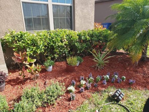 8734 Hinsdale Heights Dr, Polk City FL  33868-6010 exterior