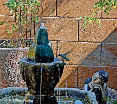 5221 Grouse Way, Tucson AZ 85742-9496 exterior