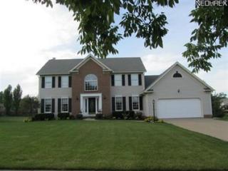 917 Brandywine Dr, Medina, OH 44256-3089