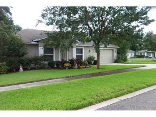 1303 Island Cove Dr, Deland, FL 32724-4115