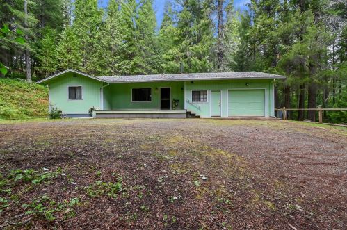17712 New York House Rd, Brownsville, CA 95919-9715