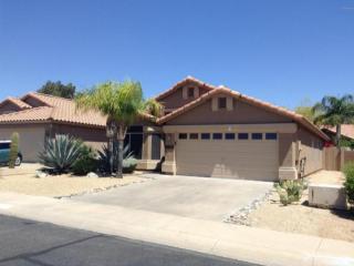 23843 73rd St, Scottsdale, AZ 85255-3499