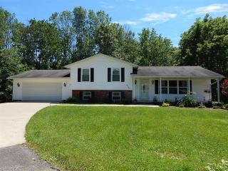 2740 Remsen Rd, Medina, OH 44256-9285