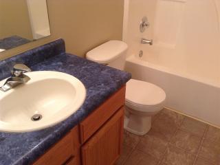 17312 Puntledge Dr, Noblesville IN  46062-6524 exterior