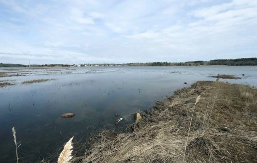 61 Dexter Rd, Marion, MA 02738-1242