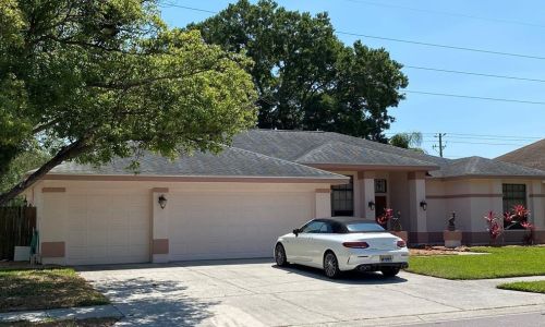 445 Pine Warbler Way, Palm Harbor, FL 34683-6115