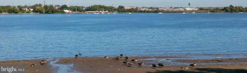 2172 Harbour Dr, Palmyra NJ  08065-1123 exterior