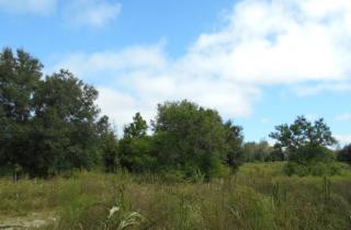 8404 23rd St, Zephyrhills, FL 33540-5724