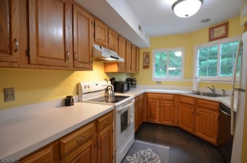 30 Encampment Dr, Bedminster NJ  07921-1836 exterior