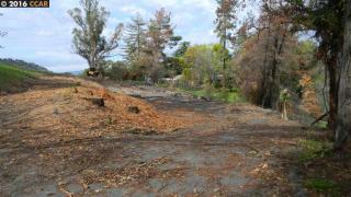 195 Vernal Dr, Alamo, CA 94507-1229