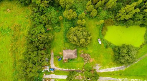 14010 Wp Ln, Thonotosassa FL  33592-4204 exterior