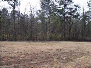 57 Sweet Gum Ln, Walterboro, SC 29488-9463