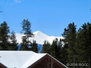 12 Imogene Cir, Leadville, CO 80461-3791