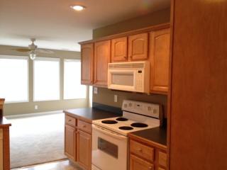 1217 Chapmans Retreat Dr, Spring Hill TN  37174-7132 exterior