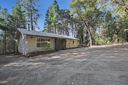 16217 Peyus Rd, Pioneer, CA 95666-9486