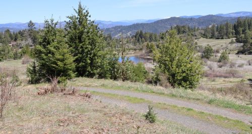 28901 Skyview Rd, Willits CA  95490-8420 exterior