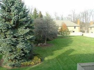 7755 Sharlene Dr, Dublin, OH 43016-9211