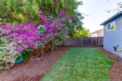 4212 Bernadine Pl, San Diego CA  92115-6012 exterior