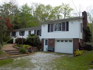 10795 Clay St, Montville, OH 44064-9701