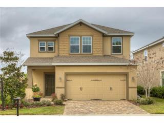 16324 Egret Crossing Ln, Lithia, FL 33547-3961