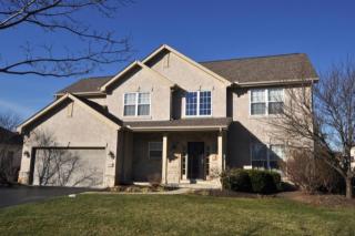 7733 Fulmar Dr, Dublin, OH 43017-8231