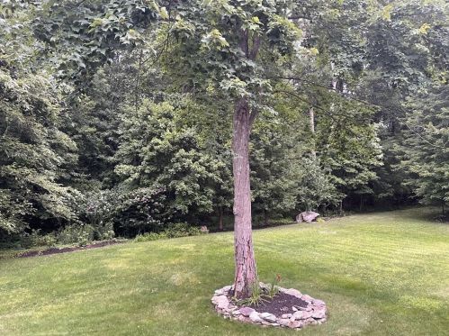 31 Jerome St, Berkley MA 02779-1121 exterior