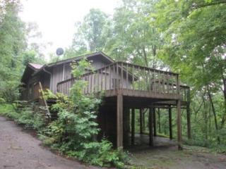 7115 Tenderfoot Trl, College Dale, TN 37363-9121