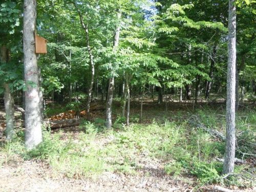 25 Versailles Dr, Bull Shoals, AR 72619