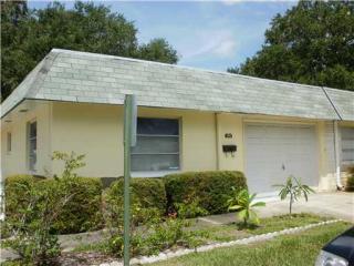 288 Skyloch Dr, Dunedin, FL 34698-8138