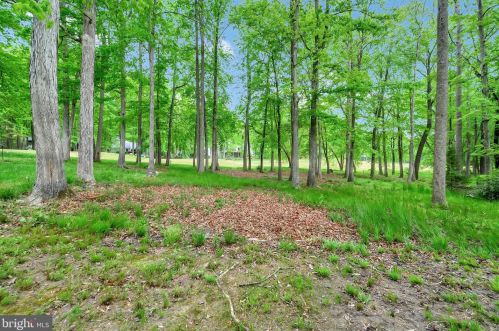 111 Green St, Locust Grove VA  22508-5444 exterior