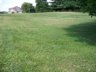 8196 Greenbriar Rd, Talbott, TN 37877-8908