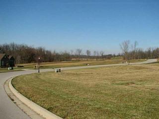 407 Buena Vista Dr, Johnstown, OH 43031-1095