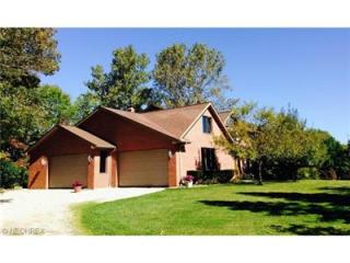 11550 Blackberry Ln, Chesterland, OH 44026-1549