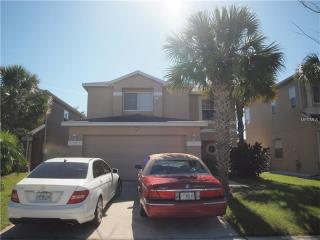 13017 Lily Pond Ct, Orlando, FL 32824-5064