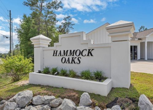 69 Hammock Oaks Blvd, Freeport FL  32439 exterior