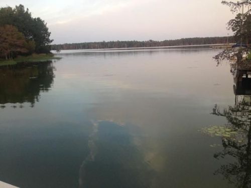 407 Lake Moultrie Dr, Bonneau SC  29431-8544 exterior