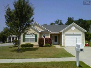 601 Blue Lake Ln, Lexington SC  29072-7248 exterior