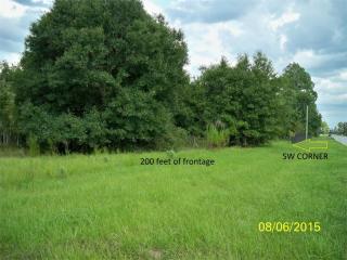 20829 Fort Christmas Rd, Xmas, FL 32709-9442