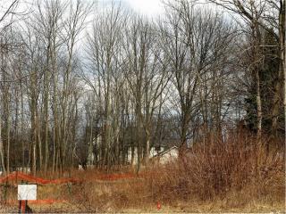 309 Streetsboro St, Hudson, OH 44236-3402