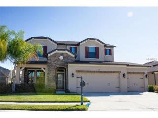 1120 Maza Pl, New Port Richey, FL 34655-7244