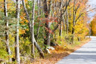 136 Deering Rd, Hillsboro, NH 03244-6622